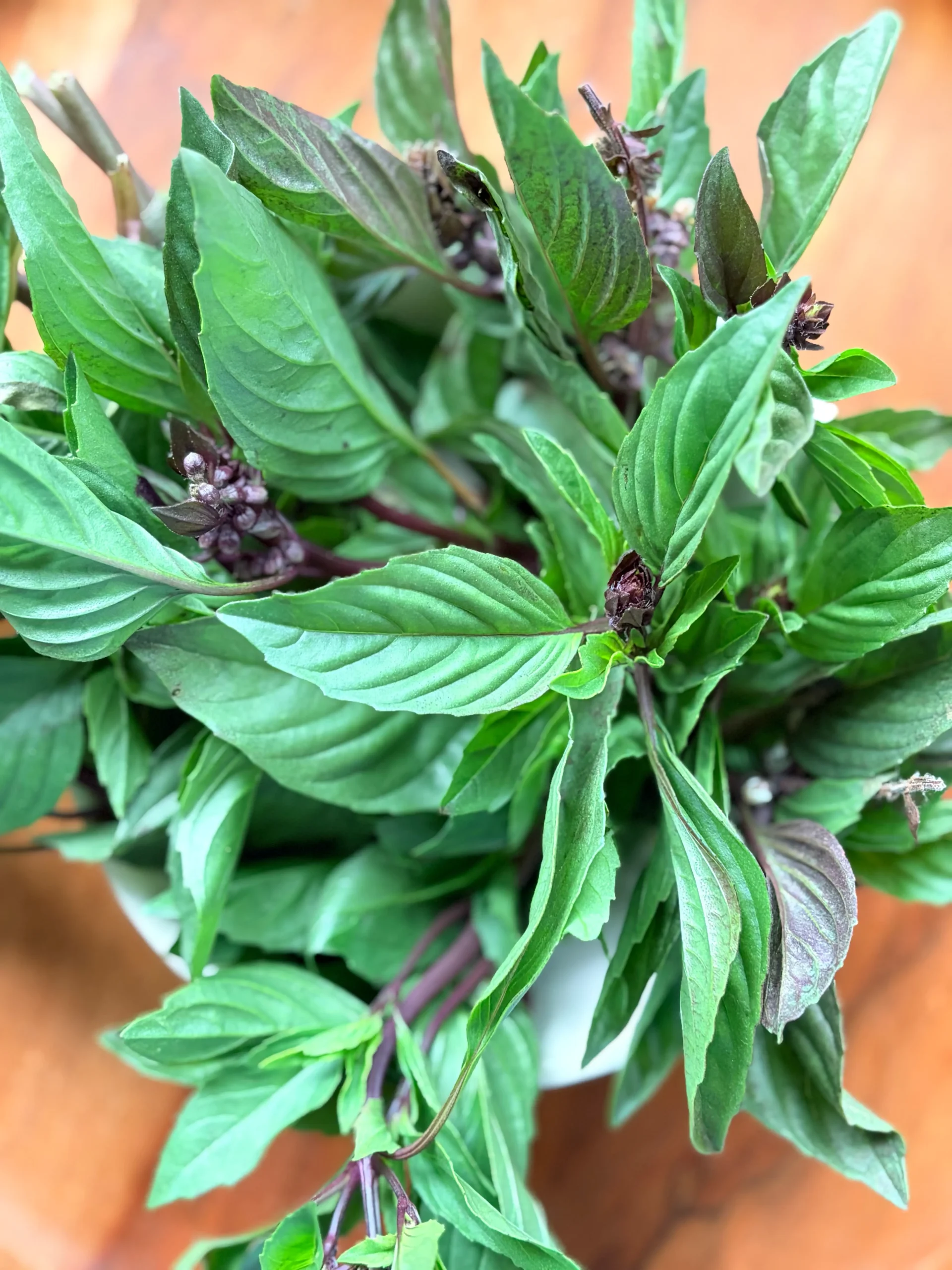Fresh bunch of Thai basil.